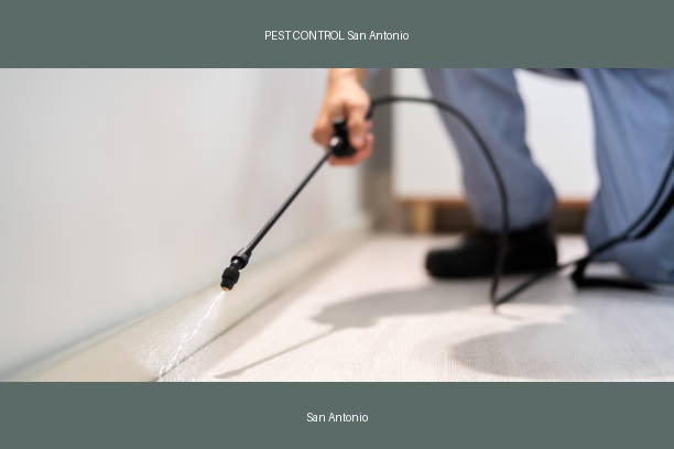 PEST CONTROL San Antonio